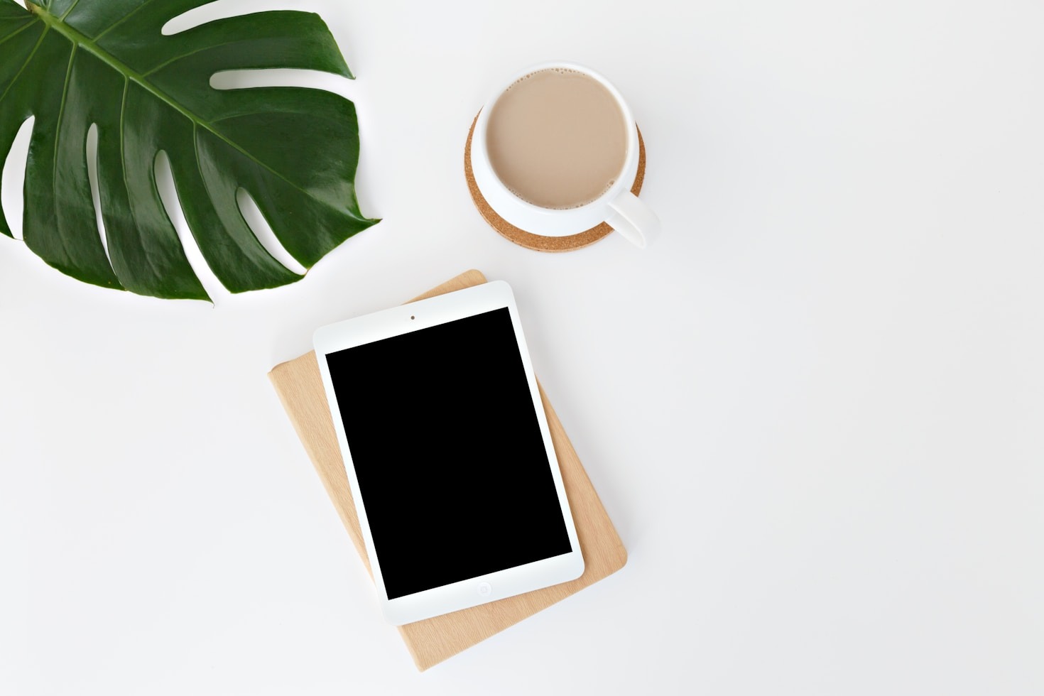 Exploring the Digital Products Offered by North Avalanche